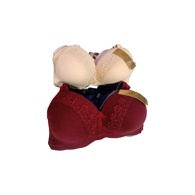 Lace Padded Bra for Women  soft padded bra online for Ladies online In Pakistan